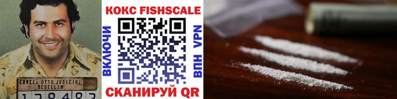 Кокаин Fish Scale  купить закладку  Нефтеюганск 