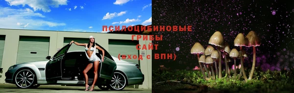 ПСИЛОЦИБИНОВЫЕ ГРИБЫ Абдулино