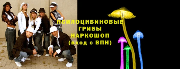 дживик Абаза