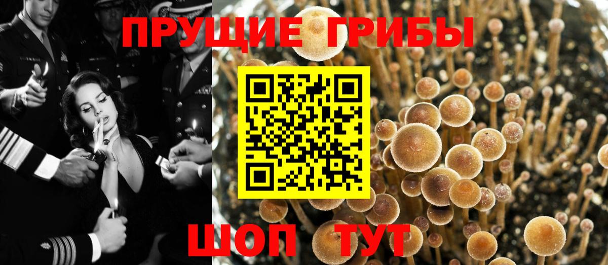 Псилоцибиновые грибы MAGIC MUSHROOMS Нефтеюганск