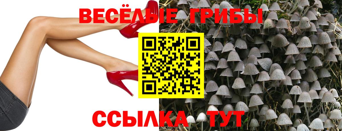 Галлюциногенные грибы Psilocybe  Псилоцибиновые грибы Psilocybe  Нефтеюганск  Вход с VPN 