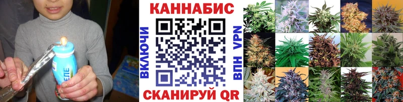 KRAKEN сайт  где купить наркоту  Нефтеюганск  Бошки марихуана сатива 